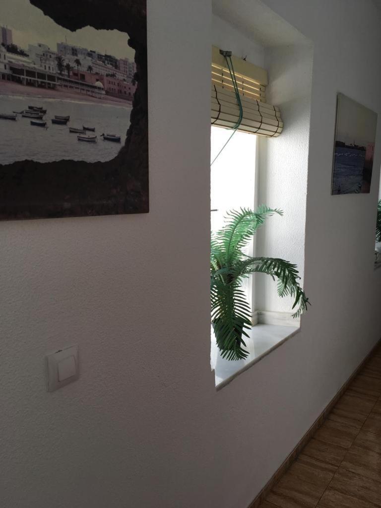 Hostal Fantoni Cádiz Eksteriør bilde